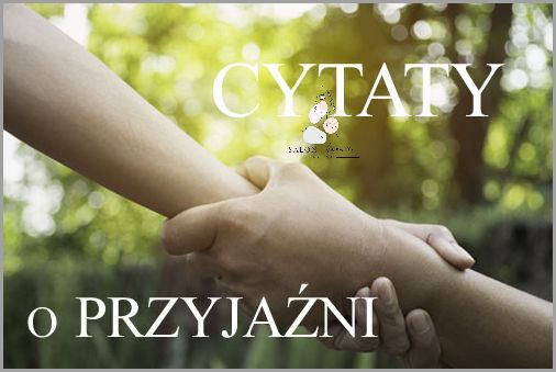 10 Krótkich Cytatów O Przyjaźni!
