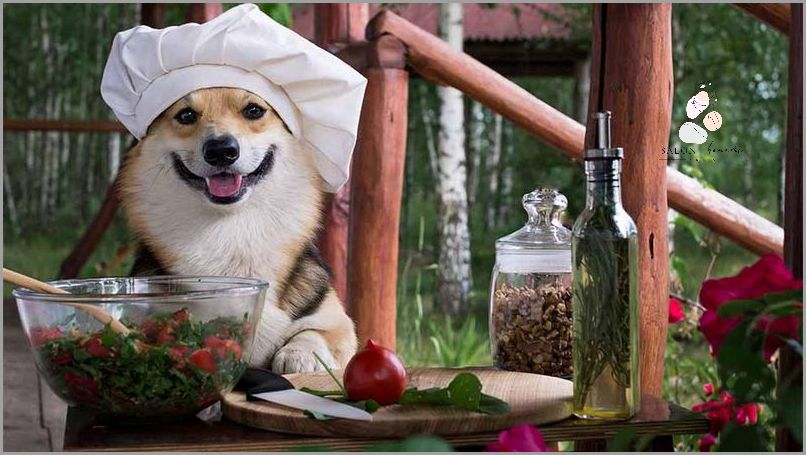 8 Tygodniowy Szczeniak - Jakie Są Zasady Karmienia?