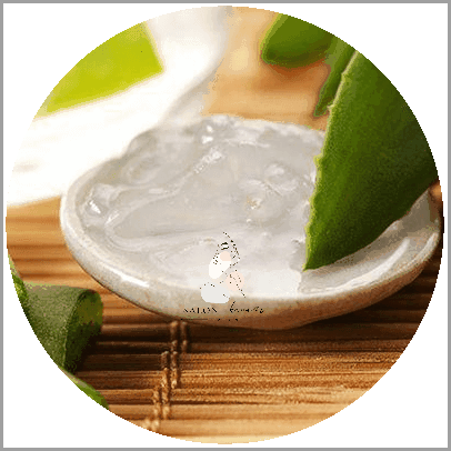 Aloes Na Tradzik: Cudowny Środek na Trądzik!