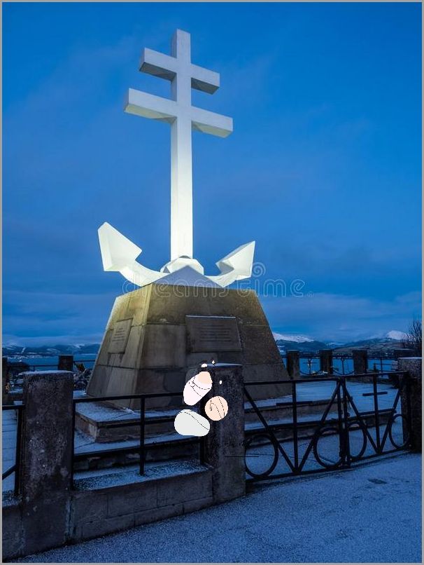 Apis Re Vit C: Cudowna Siła Natury!