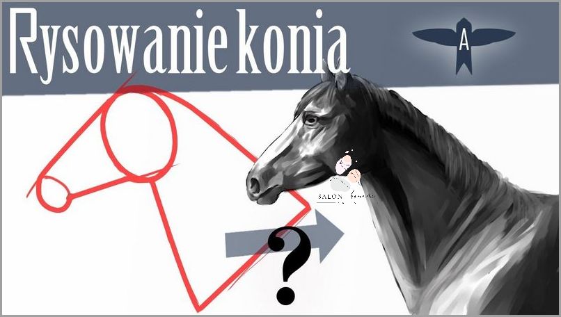 Balejaż Krok Po Kroku: Przewodnik Dla Początkujących!