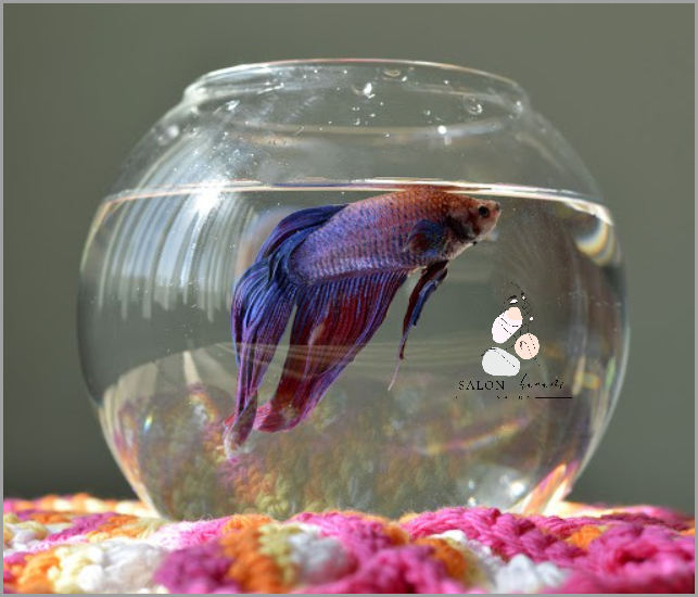 Bojownik w Kuli: Ile Żyje?