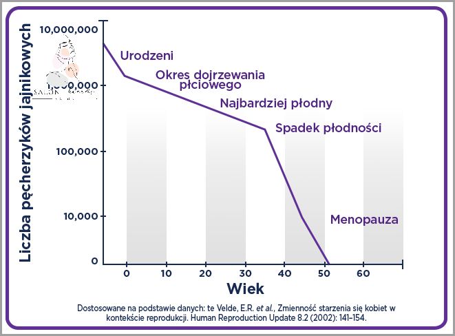 Citrafleet - Sprawdź, Po Jakim Czasie Działa!