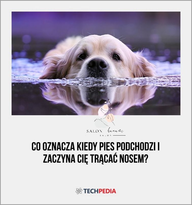 Co Najlepiej Na Opryszczkę? Odpowiedź Cię Zaskoczy!