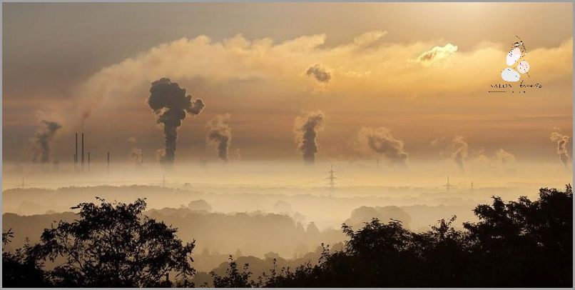 Co To Jest Czyrak? Przełomowe Odkrycie!