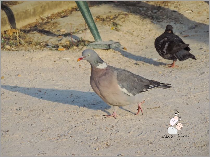 Co To Jest Lubrykant? Odkryj Tajemnicę!
