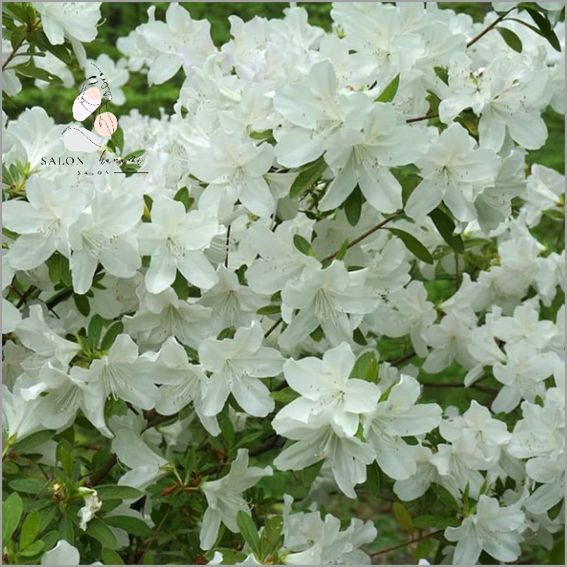 Co to Znaczy Glow Up? Sprawdź!