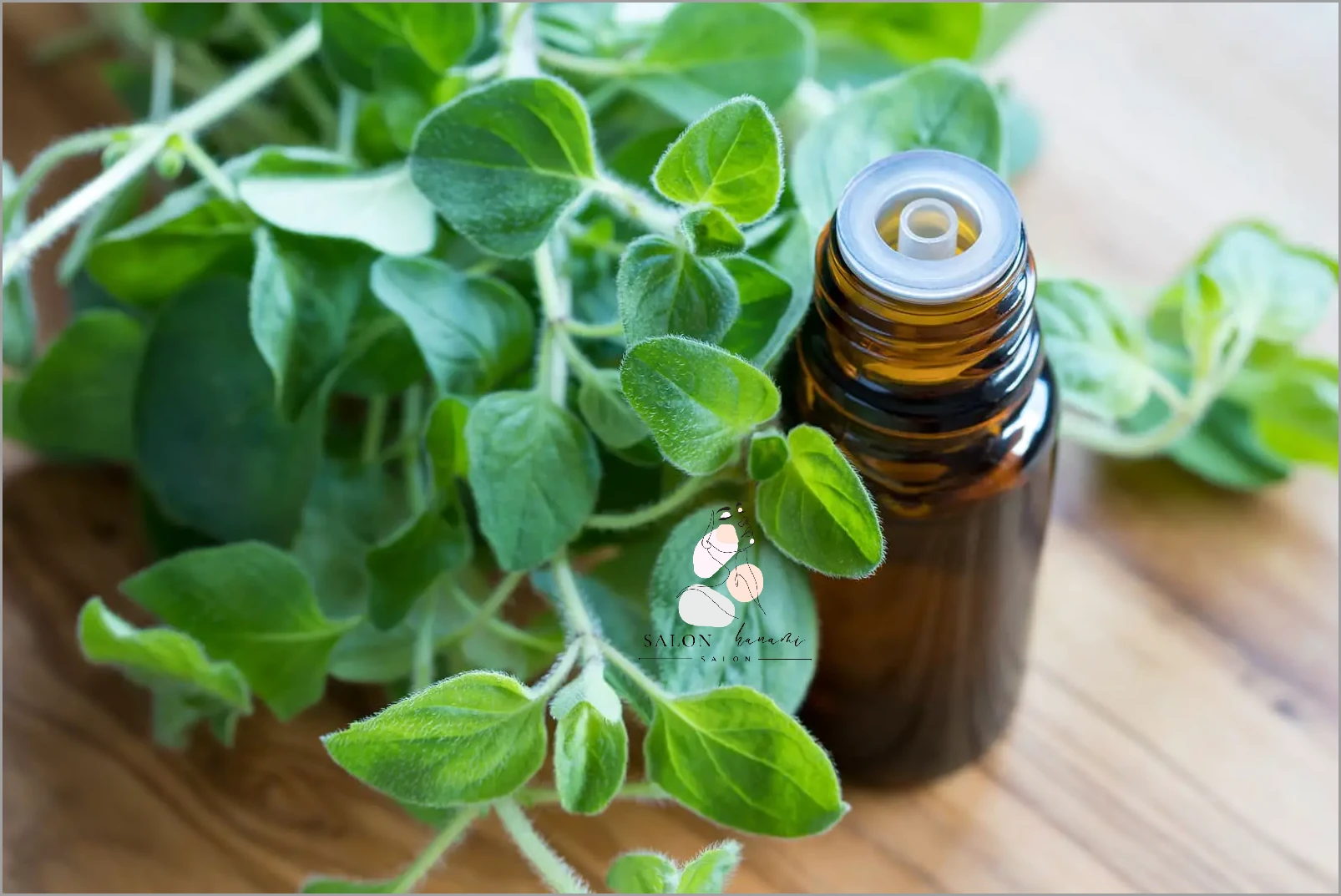 Cudowny Olejek Z Oregano - Jak Stosować?