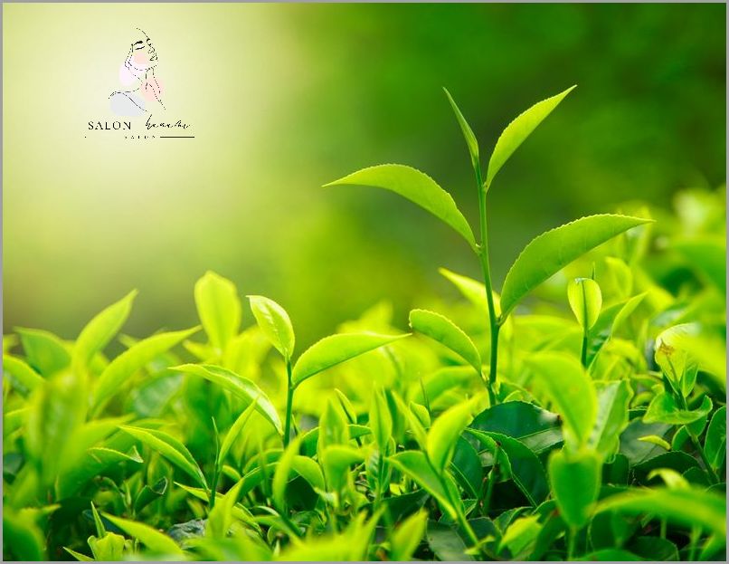 Czego Nie Lubią Owsiki? Odkryj Prawdę!