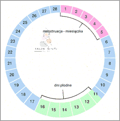 Czy Można Zajść W Ciążę Podczas Okresu? Forum Dyskusyjne