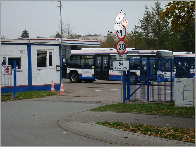 Czy Pod Żel Daje Się Bazę