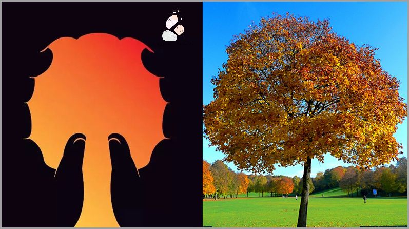 Czy Rossmann Jest Otwarty W Niedzielę? Odkryj Prawdę!