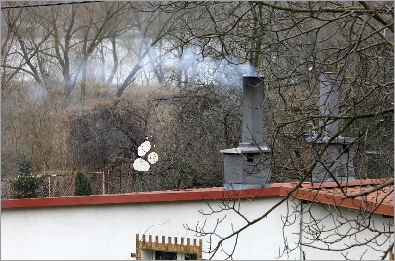 Czym jest Puder Transparentny?