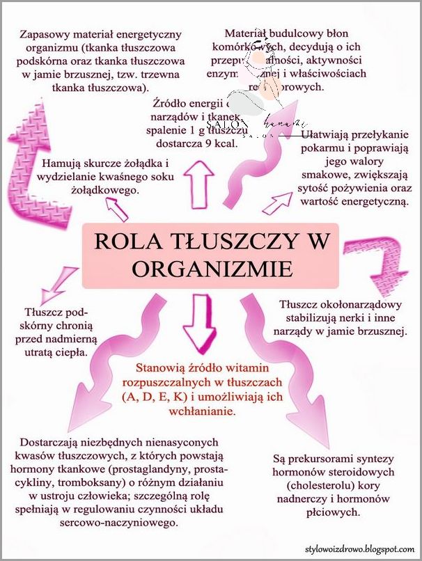 Ellaone - Ile Utrzymuje Się W Organizmie?