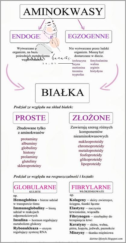 Ellaone - Ile Utrzymuje Się W Organizmie?