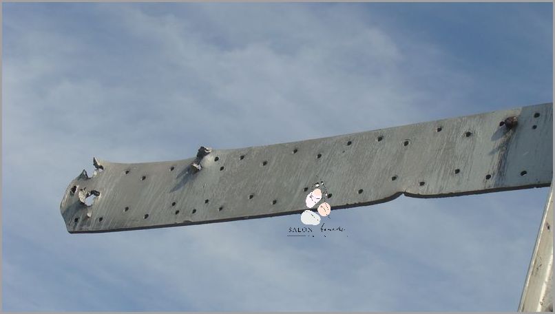 Forum Dyskusyjne o Oleju Z Czarnuszki!