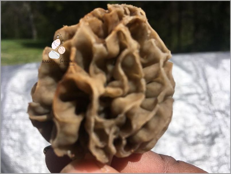 Forum Marker Ca 15 3 - Co się dzieje?