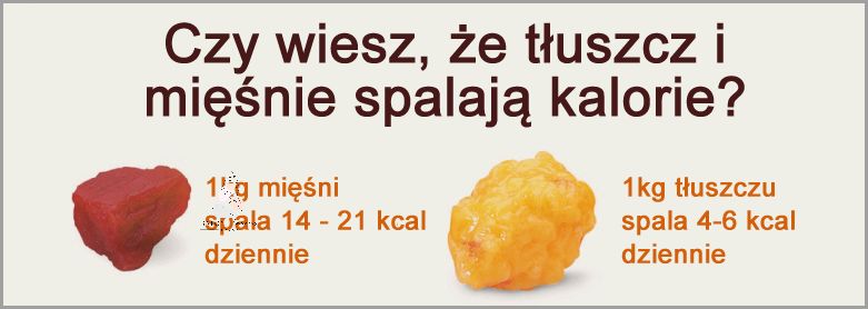 Ile Kalorii Dziennie Żeby Schudnąć? Odkryj Teraz! Ile Kalorii Dziennie Żeby Schudnąć? Odkryj Teraz!