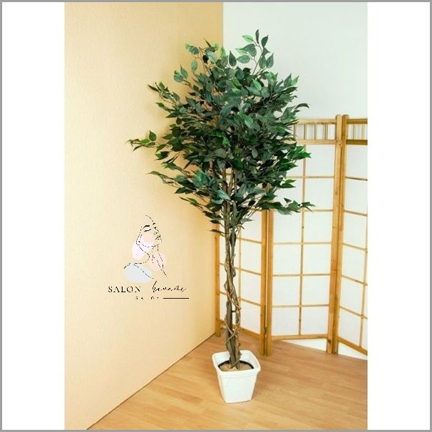 Jak Kręcić Hula Hop? Sprawdź!