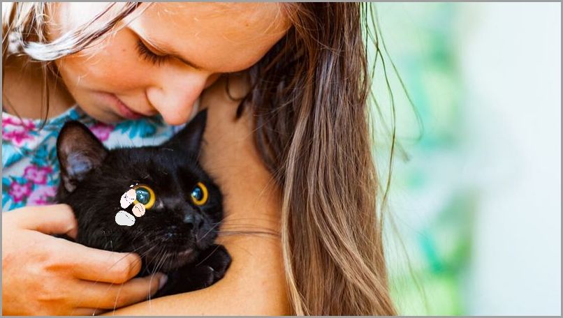 Jak Namówić Rodziców Na Psa? Dowiedz się!