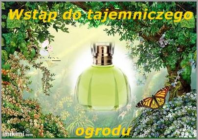 Jak Optycznie Powiększyć Usta? Odkryj Tajemnice Kosmetyczek!