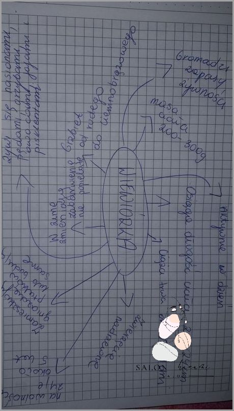 Jak Rozpoznać Kolor Oczu? Przeczytaj i Dowiedz się!
