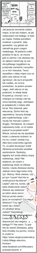 Jak Sprawdzić Czy Dobrze Ci W Grzywce?.