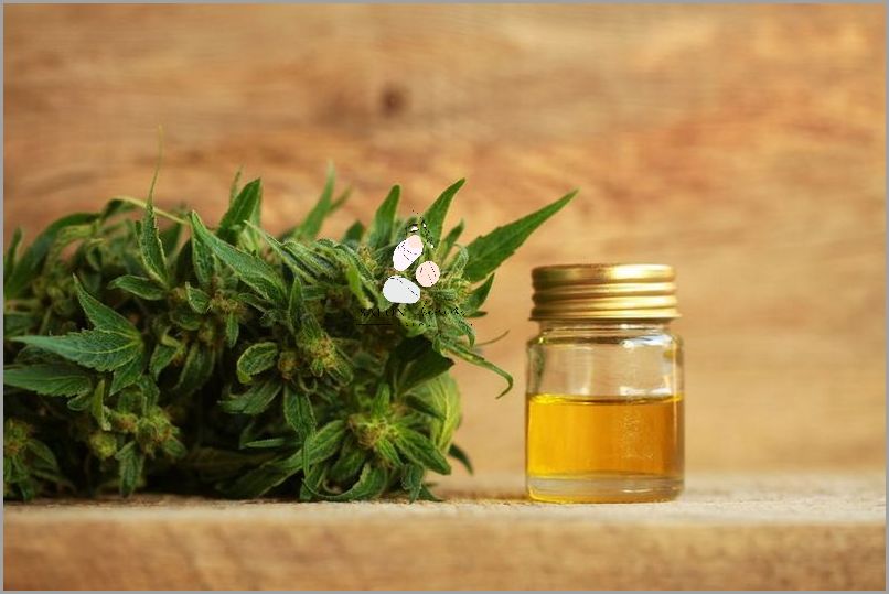 Jak Stosować Olejek Konopny? Sprawdź!
