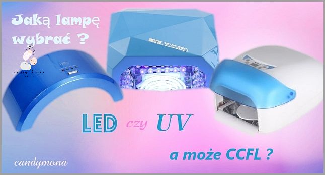 Jaka Lampa Do Hybryd? Sprawdź Ten Przegląd!