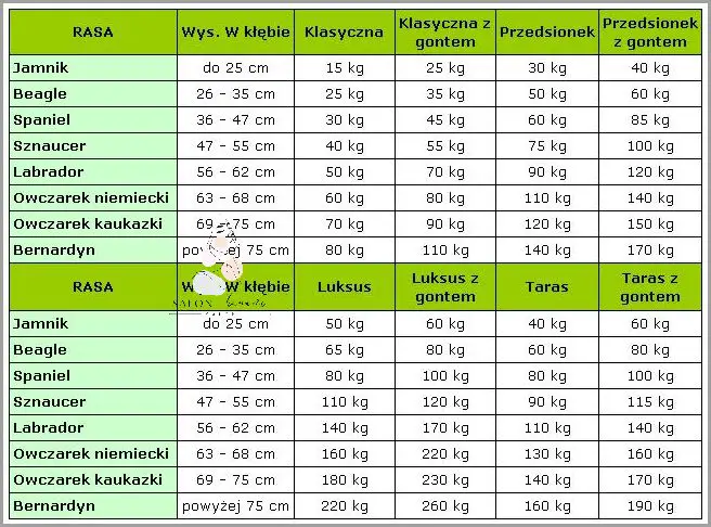 Jaka Waga Powinna Być w Zależności od Wzrostu?