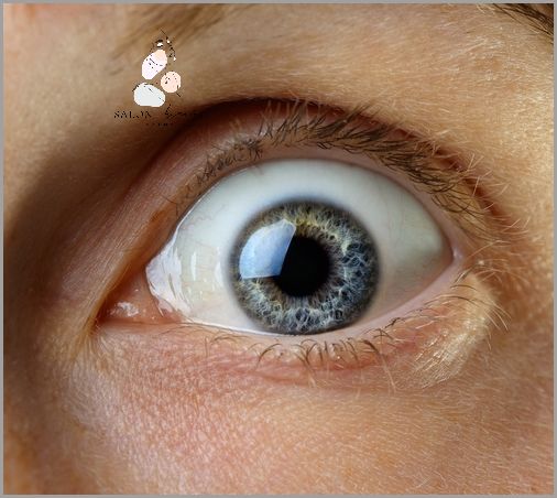 Linia Wodna Oka - Zaskakujące Odkrycie!