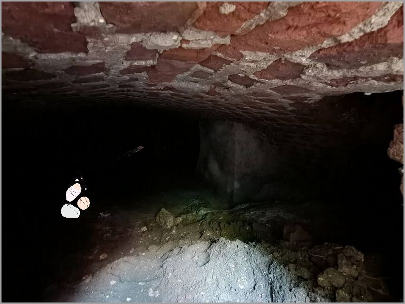 Linia Wodna Oka - Zaskakujące Odkrycie!