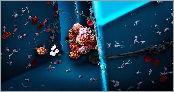 Linia Wodna Oka - Zaskakujące Odkrycie!