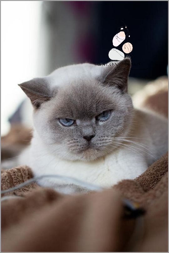 Niesamowite Fakty O Blondynkach Z Niebieskimi Oczami!