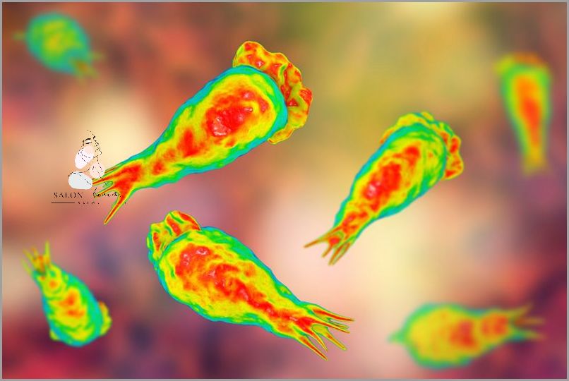 Niezwykłe Oczyszczanie Z Toksyn - Sprawdź!