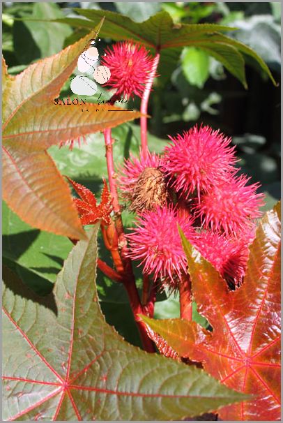 Objawy Wydalania Toksyn Z Organizmu!