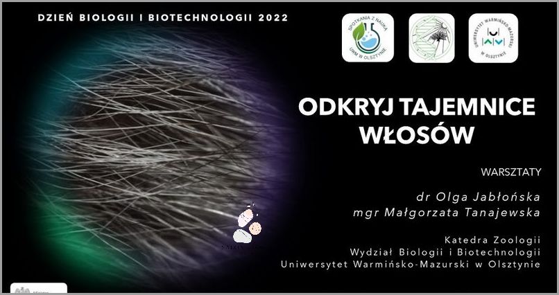 Odkryj Tajemnice Wcierki Do Włosów Vianek!