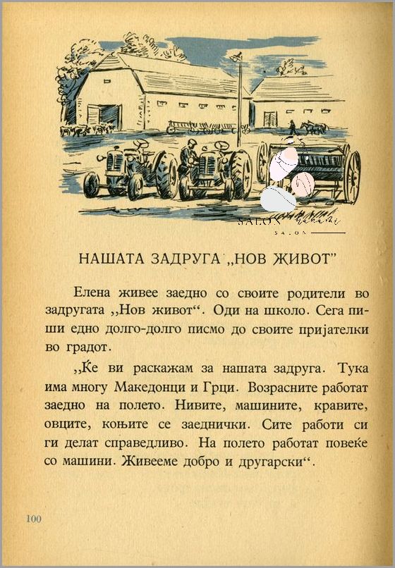 Żółw Grecki Żyje aż...? Przekonaj się!