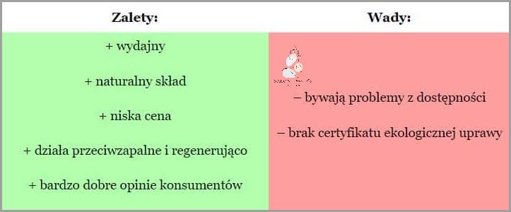 Pytanie: Jakie są Artur Topolski Opinie Forum? Pytanie: Jakie są Artur Topolski Opinie Forum?