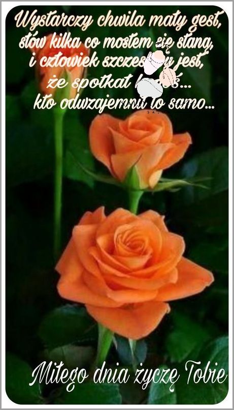 SMS-y na Dzień Dobry dla Ciebie - Nie przegap!