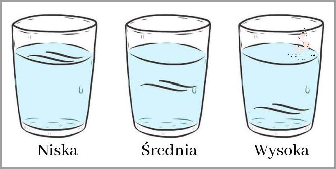 Test Na Porowatość Włosów: Sprawdź Ją Wodą!