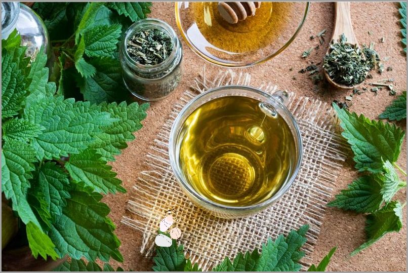 Wyciąg Z Zielonej Herbaty - Sprawdź Jego Działanie!