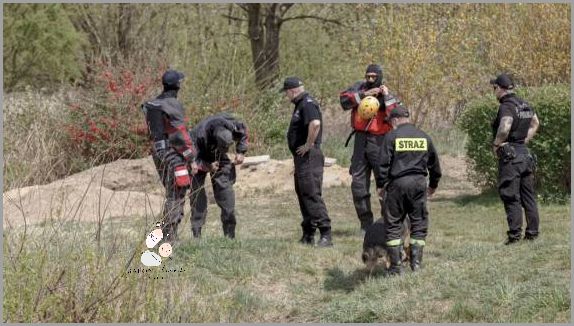 Zaskakująca Prawda o Pozycji Misjonarskiej!