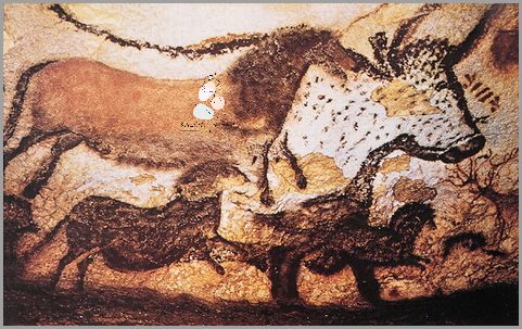 Zaskakujący Fakt: Soczewki Na Sztuki!