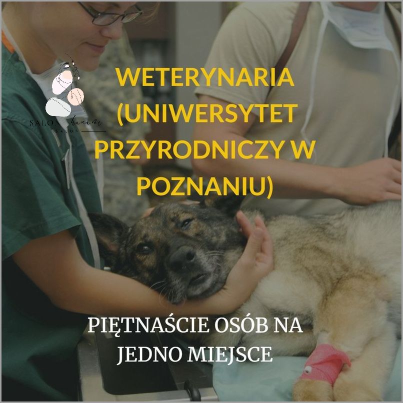 10 Ciekawych Kierunków Studiów Dla Niezdecydowanych!