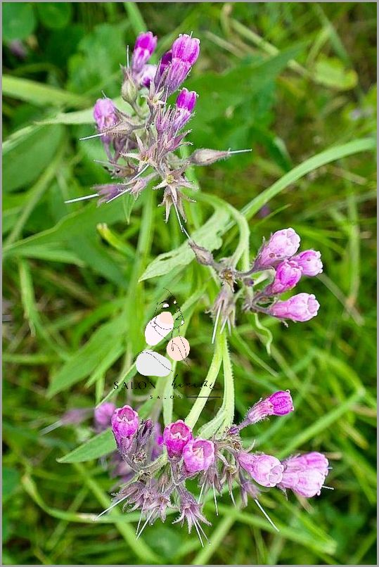 10 Zdjęć Odparzeń Pod Piersiami! 10 Zdjęć Odparzeń Pod Piersiami!