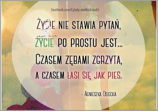 5 Pięknych Wierszy O Przyjaźni!