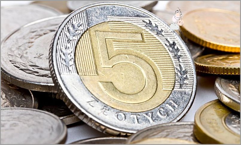5 Zł Za Wszystko - Nie Możesz Przegapić!