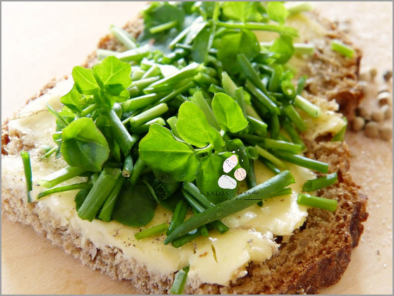 7-dniowa Dieta Kapuściana - Sprawdź Przepis!