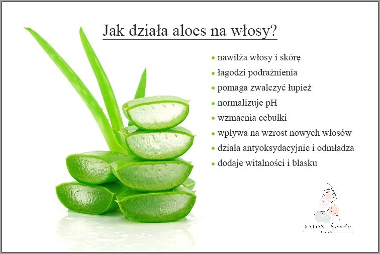 Aloes Na Krwiaki - Sprawdź, jak działa!
